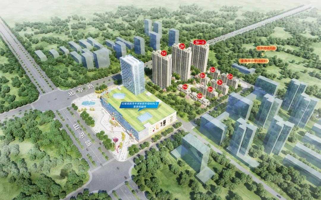 项目南区鸟瞰图