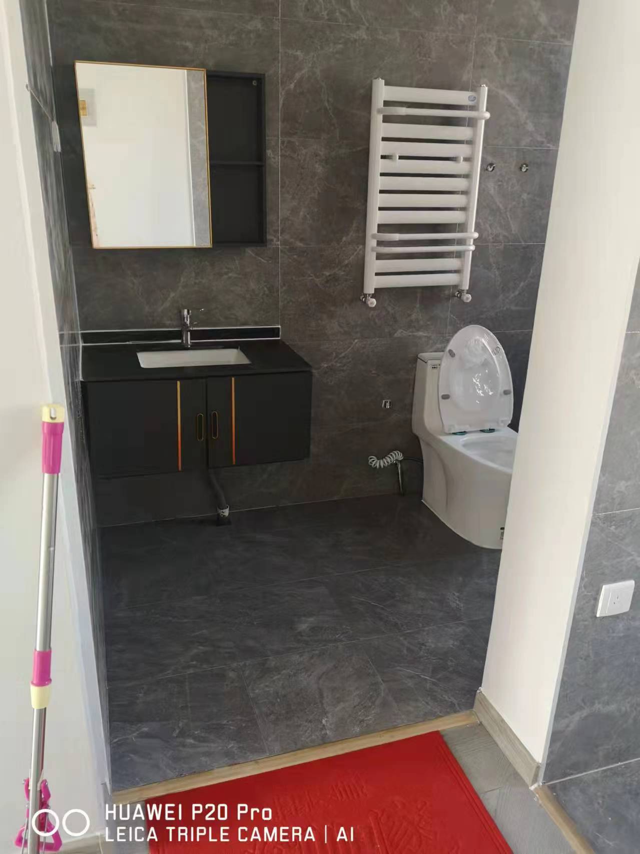 高新区公园南侧安泰翡翠城出租 租房