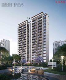 项目规划效果图