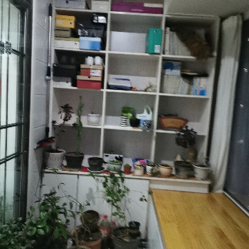 1500元/月 学苑小区(东港) 大成大厦2室好房