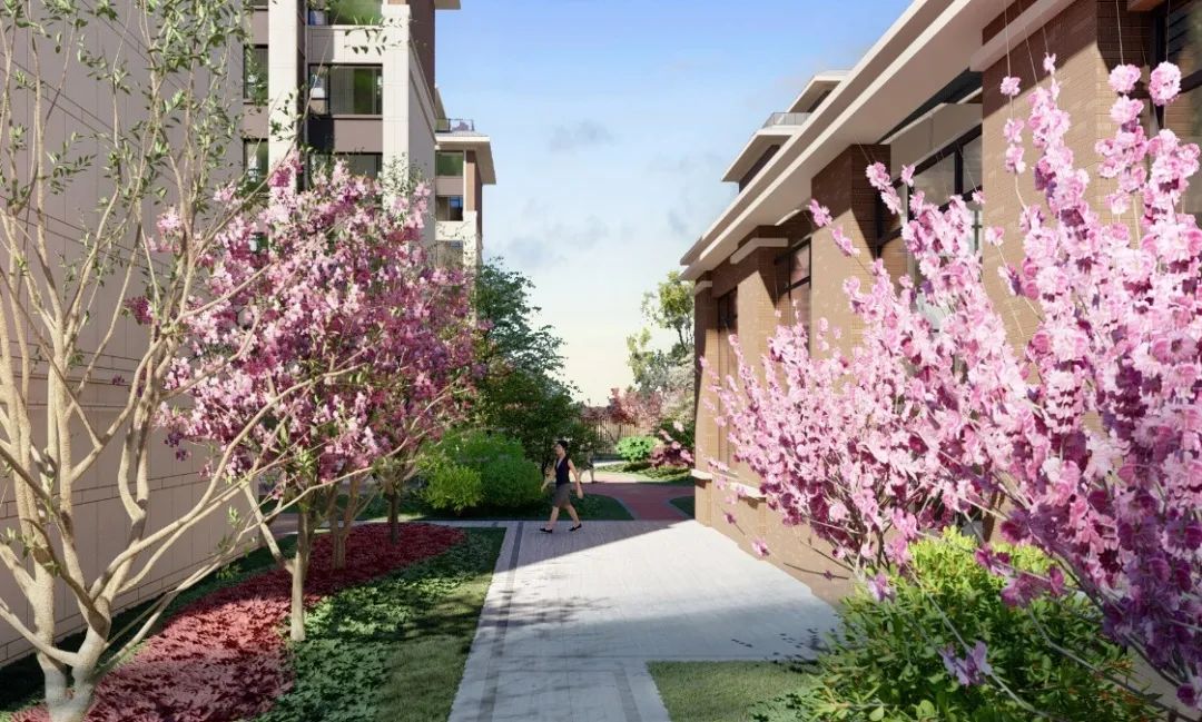 小区效果图