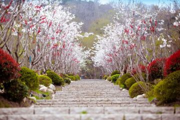 蓝湾雅园实景图