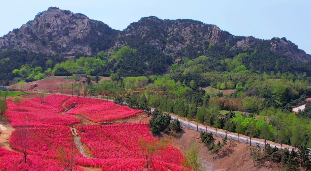 日照奎山山地公园正分段陆续开放!邀请您来打卡体验!