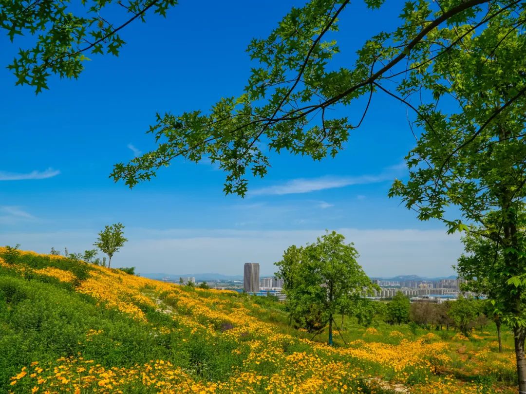 日照奎山山地公园正分段陆续开放!邀请您来打卡体验!