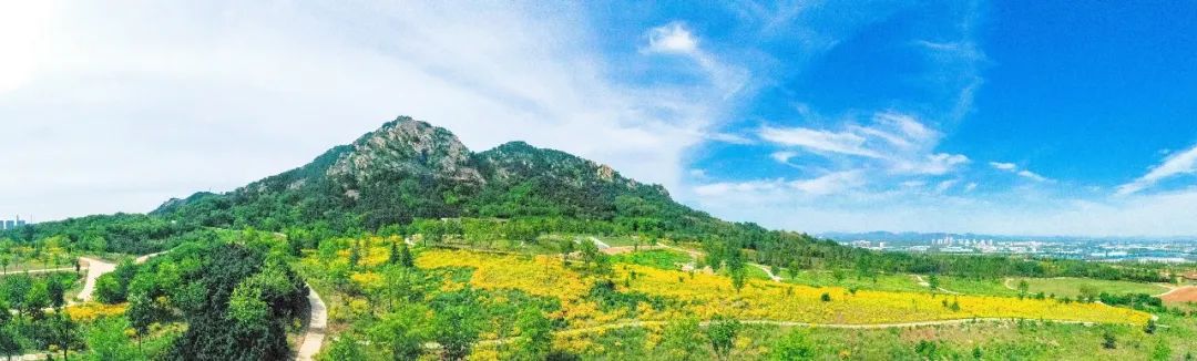 日照奎山山地公园正分段陆续开放!邀请您来打卡体验!