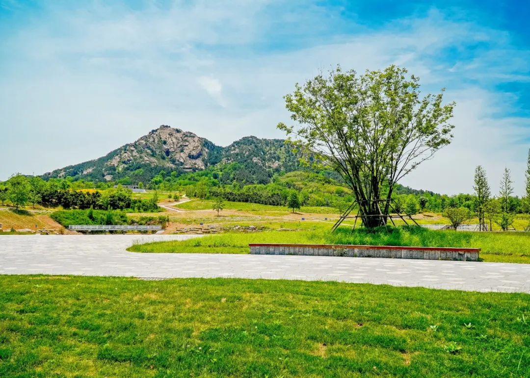 日照奎山山地公园正分段陆续开放!邀请您来打卡体验!