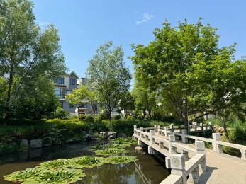 山水龙庭实景图