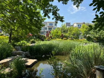 山水龙庭实景图