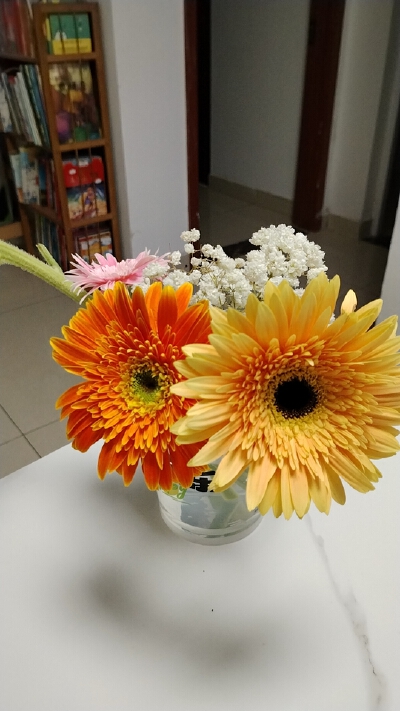 新丽公寓，2室1厅1卫，80㎡，精装，租金550元/月