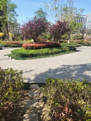 生活印象实景图