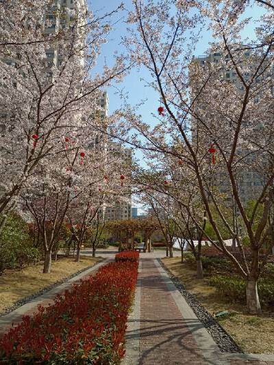 日广雅居，3室2厅1卫，119.00㎡，售价85万