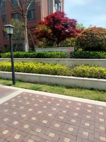 招商莱顿小镇山海郡实景图