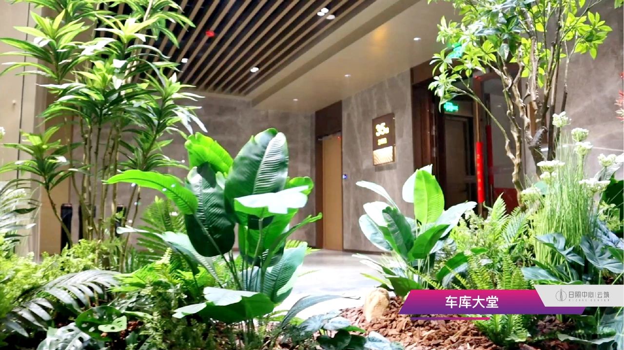 日照中心实景图