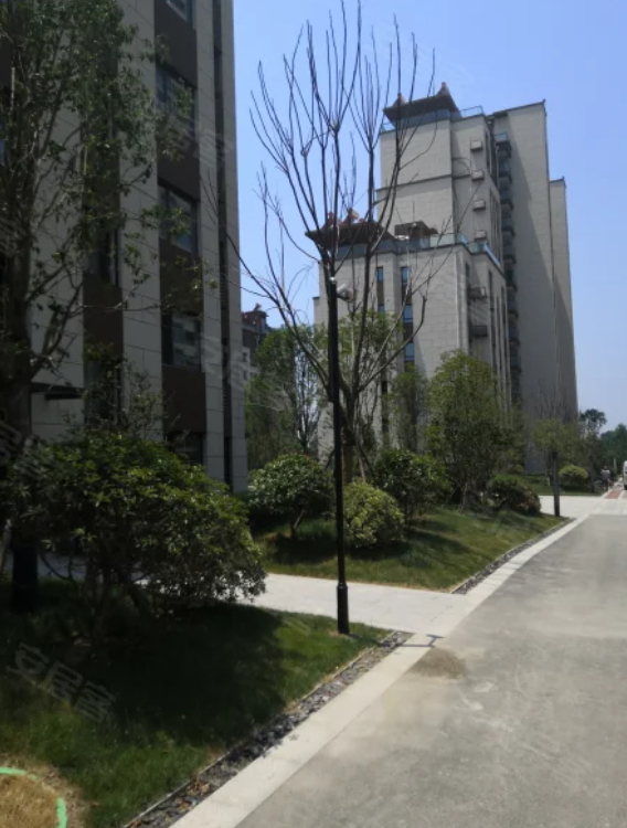 安泰德园实景图