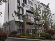 东辰健康智慧城(别墅)