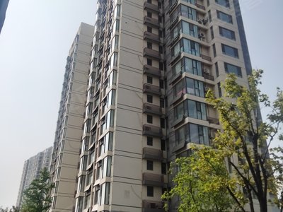 华地丽舍实景图