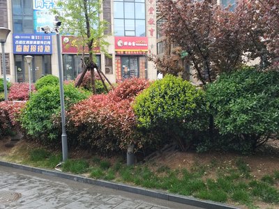 锦华广场小区实景图