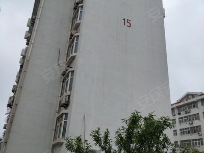 木浆厂家属院实景图