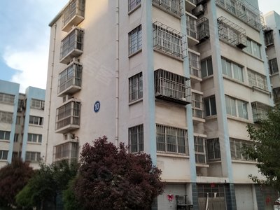 大连路海星针织家属院实景图