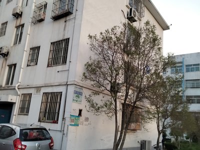 大连路海星针织家属院实景图