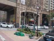 日照港第一生活区C区