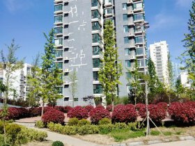 东海花园西区(3A,3b,5-10号)